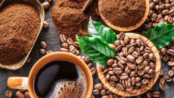 Giá cà phê hôm nay 30/3: Đồng loạt giảm