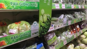 Hà Nội: Kim ngạch xuất khẩu hàng hóa tháng 3 tăng 24,4%