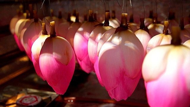 Đồng Tháp sẽ hỗ trợ doanh nghiệp trưng bày sản phẩm tại Phú Quốc