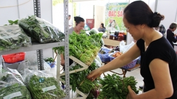 Hà Nội sẽ tổ chức hội chợ nông sản thực phẩm an toàn