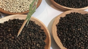 Giá hồ tiêu hôm nay 1/4: Giảm tại Tây Nguyên