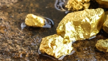 Giá vàng hôm nay 1/4: Quay đầu tăng mạnh