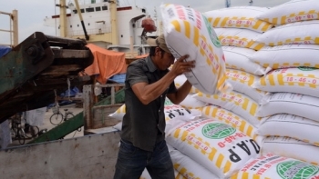 Nhập khẩu phân bón từ các thị trường chủ đạo tăng cao trong hai tháng đầu năm