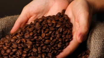 Giá cà phê thế giới giảm trong tháng 3