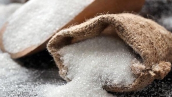 Thí điểm đấu giá hạn ngạch thuế quan nhập khẩu đường năm 2021