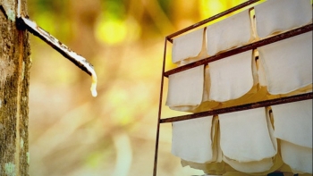 Giá cao su tháng 3 tại các sàn chủ chốt có xu hướng giảm