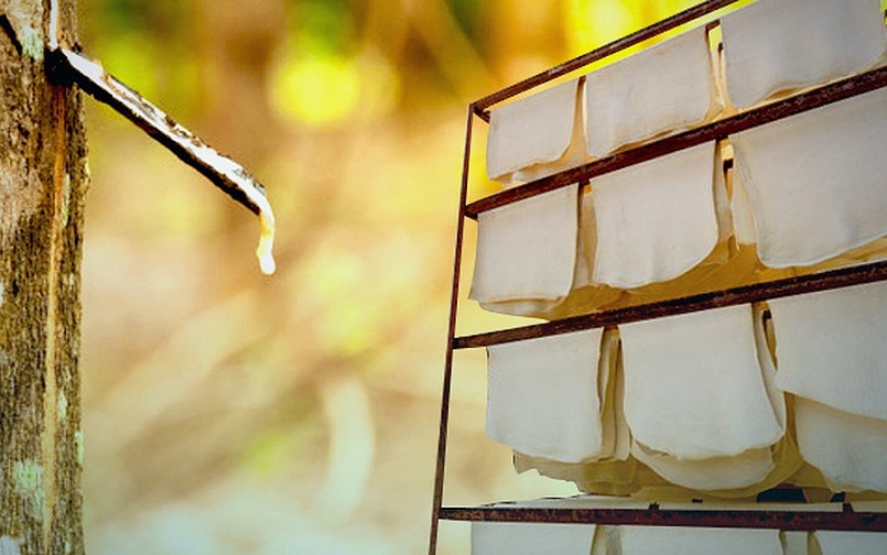 Giá cao su tháng 3 tại các sàn chủ chốt có xu hướng giảm