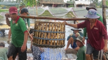 Đồng Tháp: Giá trị xuất, nhập khẩu trong quý I tăng hơn 20%