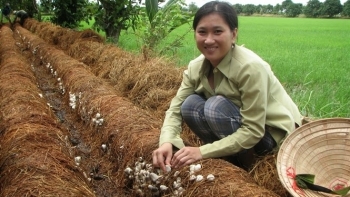 Kiên Giang: Hỗ trợ khởi nghiệp đổi mới sáng tạo trên địa bàn tỉnh năm 2021