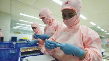 VASEP: Dự báo xuất khẩu tôm tăng trong quý II