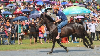 Lào Cai: Triển khai chương trình kích cầu du lịch năm 2021 với chủ đề “Hương sắc Lào Cai”