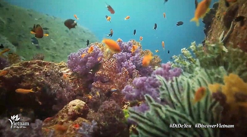 Khởi động mùa du lịch hè với Clip “Việt Nam: Đi Để Yêu! - Bao la biển gọi”