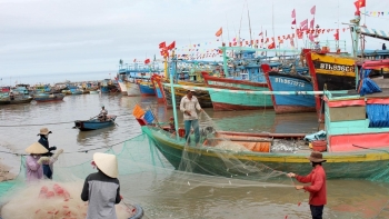 Bình Thuận: Hơn 93% tàu cá trên 15m đã lắp đặt thiết bị giám sát hành trình