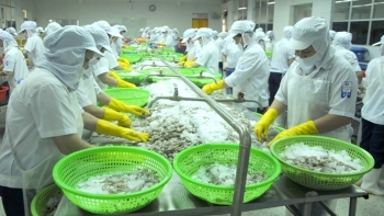 Bình Định: 3 tháng đầu năm, kinh tế tăng trưởng khá toàn diện