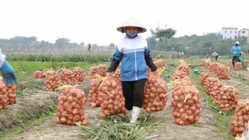 Hà Nội:  Tăng trưởng nông, lâm nghiệp, thủy sản của Hà Nội ước đạt 2,51%