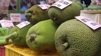 Hội chợ trái cây và hàng nông sản Bình Phước dự kiến được tổ chức trong tháng 6