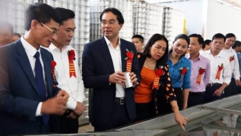 Lào Cai: Đưa vào hoạt động nhà máy Chế biến rau quả xuất khẩu Mường Khương