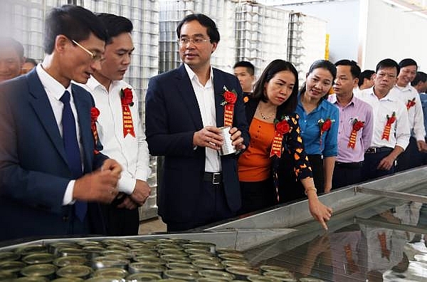 Các đại biểu tham quan khu vực chế biến dứa đóng hộp xuất khẩu. Ảnh LCĐT