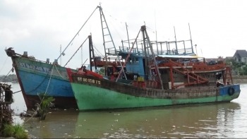 Sóc Trăng: Nỗ lực tháo gỡ “thẻ vàng” của Ủy ban châu Âu