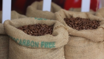 Giá cà phê hôm nay 10/4: Phiên cuối tuần giảm nhẹ