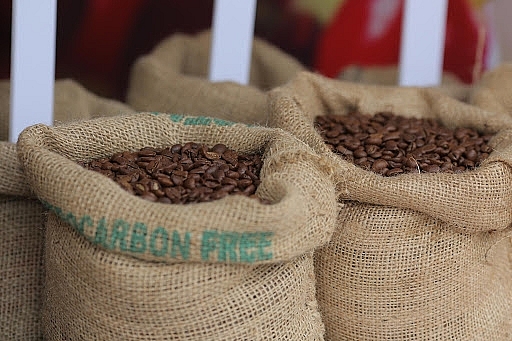 Giá cà phê hôm nay 10/4: Phiên cuối tuần giảm nhẹ