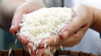 Giá gạo hôm nay 10/4: Trong nước tiếp tục giảm