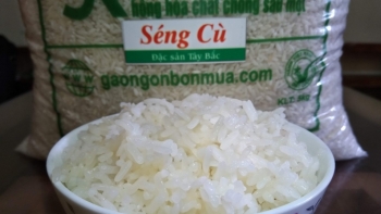 Yên Bái: Phấn đấu tiêu chuẩn hóa 37 sản phẩm OCOP trong năm 2021