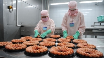 Cà Mau: Tăng cường đầu tư sản xuất, xuất khẩu các sản phẩm chế biến sâu