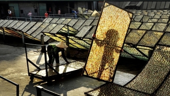 Kiên Giang: Ban hành Danh mục sản phẩm công nghiệp chủ lực đến năm 2025.