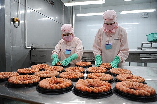 Tôm là một trong những sản phẩm được khuyến khích đầu tư sản xuất, xuất khẩu Tôm là một trong những sản phẩm được khuyến khích đầu tư sản xuất, xuất khẩu