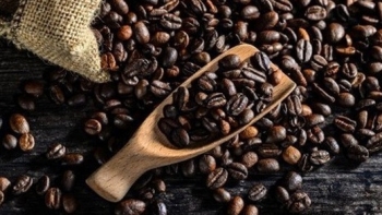 Giá cà phê hôm nay 11/4: Giữ ổn định