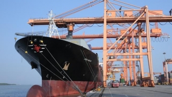 Việt Nam có thêm 8 bến cảng biển mới ở 5 tỉnh, thành phố