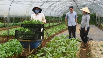 Kon Tum: Chấp thuận chủ trương đầu tư 2 Dự án Trang trại nông nghiệp tổng hợp