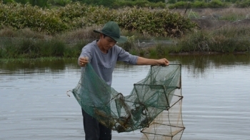 Cà Mau: Năm 2021, ngành nông nghiệp phấn đấu tốc độ tăng trưởng 4,5%/năm