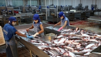 Xuất khẩu cá tra bật tăng trở lại trong tháng 3