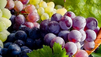 Giá rau củ quả hôm nay 13/4: Đa dạng ưu đãi hấp dẫn