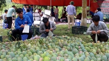 Sơn La: Ban hành kế hoạch xuất khẩu sản phẩm hàng hóa giai đoạn 2021 - 2025