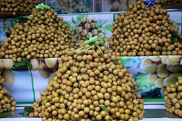 Lai Châu: ban hành kế hoạch xuất khẩu sản phẩm hàng hóa giai đoạn 2021 - 2025