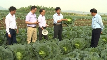 Bắc Ninh: Tổ chức được 62 lớp tập huấn, chuyển giao khoa học kỹ thuật trong sản xuất