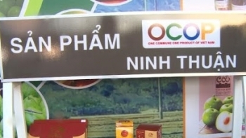 Bình Thuận: Thực hiện Chương trình mỗi xã một sản phẩm trong năm 2021