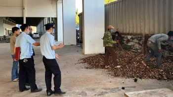 Quảng Trị: Phát hiện, thu giữ 24 tấn than ngụy trang dăm gỗ xuất khẩu