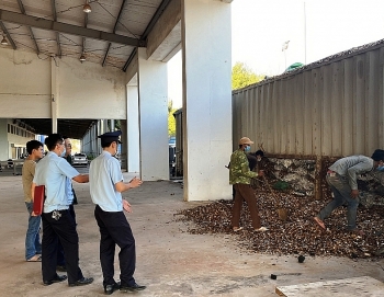 Quảng Trị: Phát hiện, thu giữ 24 tấn than ngụy trang dăm gỗ xuất khẩu