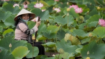 Đồng Tháp: Tổ chức chương trình xúc tiến thương mại, du lịch và đầu tư năm 2021