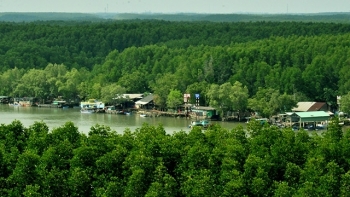 TP HCM: Đề xuất thành lập Khu bảo tồn biển Cần Giờ