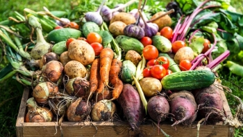 Giá rau củ quả hôm nay 22/4: Tiếp tục có giá tốt