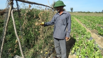 Quảng Bình: Triển khai thực hiện phòng, chống, khắc phục hậu quả hạn hán, thiếu nước