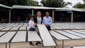 Quảng Nam: Lựa chọn, nhân rộng mô hình hợp tác xã kiểu mới hiệu quả tại các địa phương