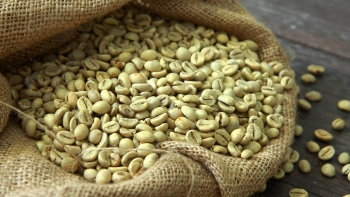 Giá cà phê hôm nay 25/4: Không xuất hiện điều chỉnh