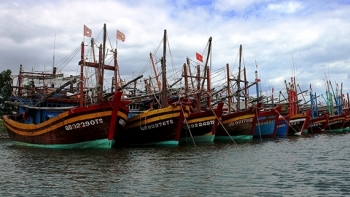 Quảng Bình: Công khai hạn ngạch giấy phép khai thác thủy sản vùng khơi