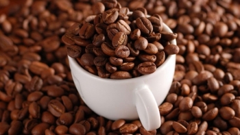 Giá cà phê hôm nay 26/4: Đi ngang vào đầu tuần